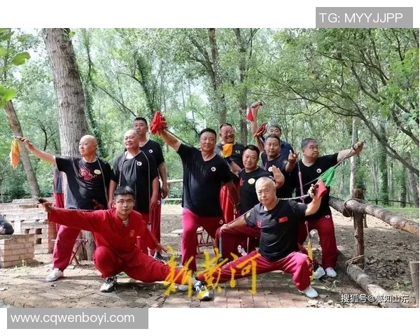武术文化节弘扬传统武术精神展现中华文化魅力的盛大庆典
